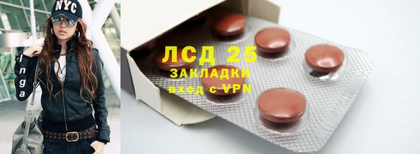 стаф Дмитров