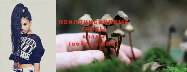 каннабис Дмитровск