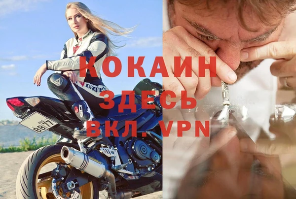 стаф Дмитров