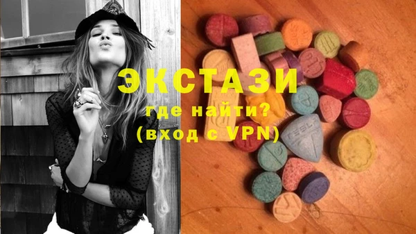 стаф Дмитров
