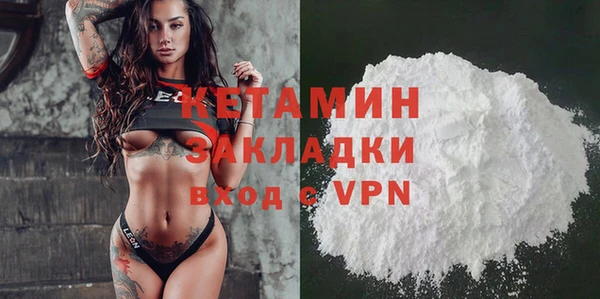 стаф Дмитров