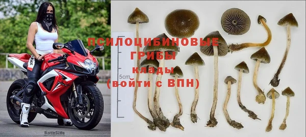 гашиш Дмитриев
