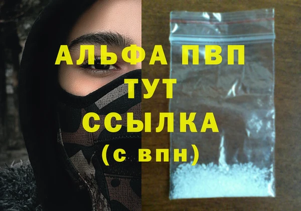 стаф Дмитров