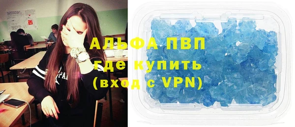стаф Дмитров