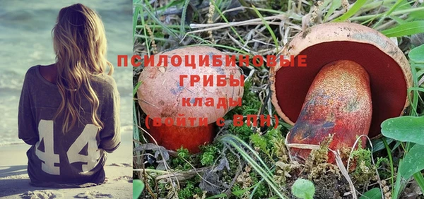каннабис Дмитровск