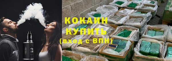 стаф Дмитров