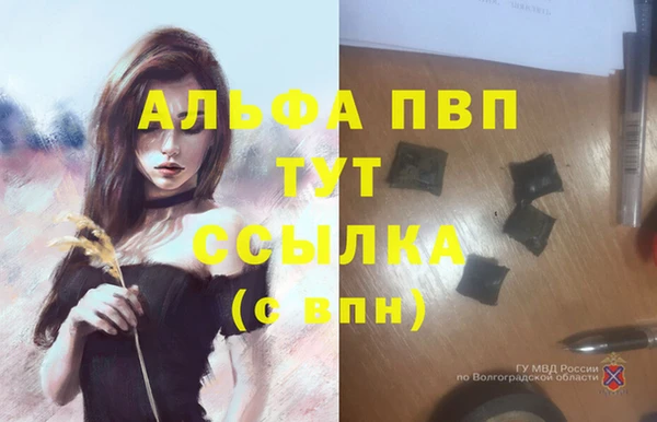 стаф Дмитров