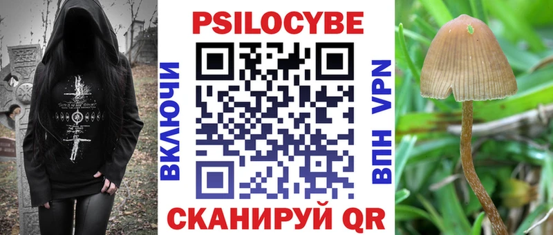 Псилоцибиновые грибы GOLDEN TEACHER  Новошахтинск 
