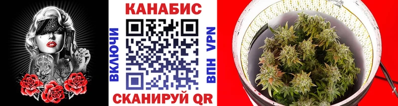 Каннабис конопля  Новошахтинск 